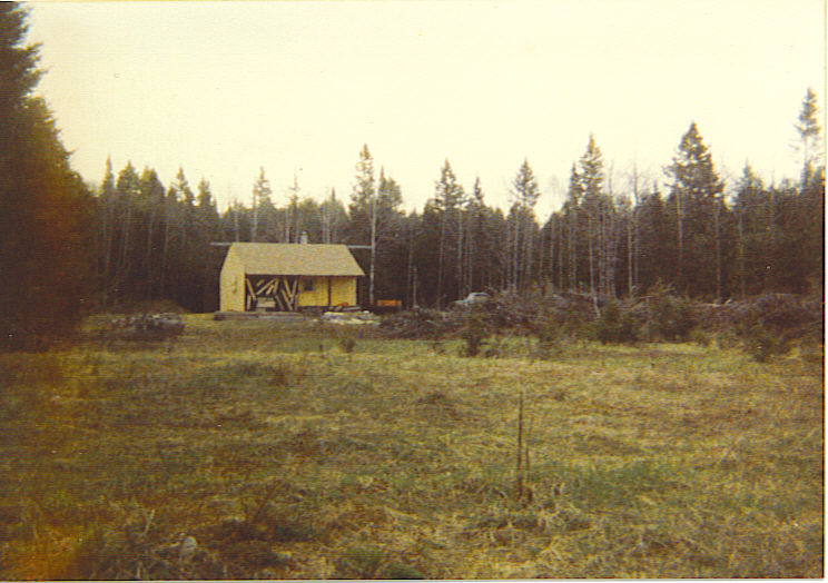 Increase Your Chances of Homesteading Success Off Grid and Free My